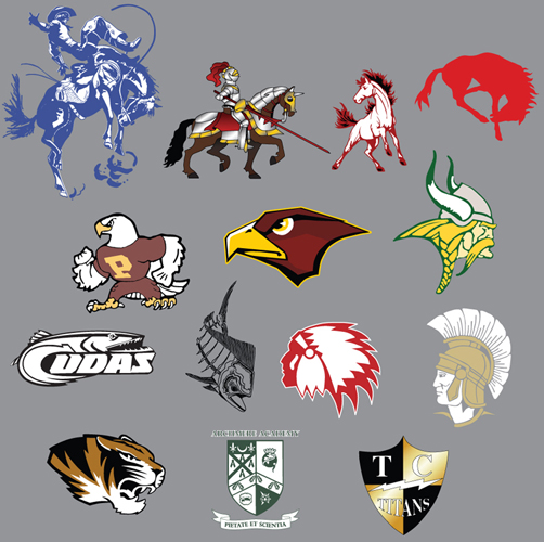 CustomVectorLogos Design